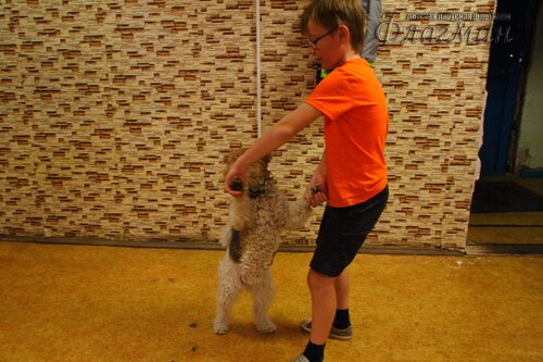 Берег весёлых Робинзонов 2017